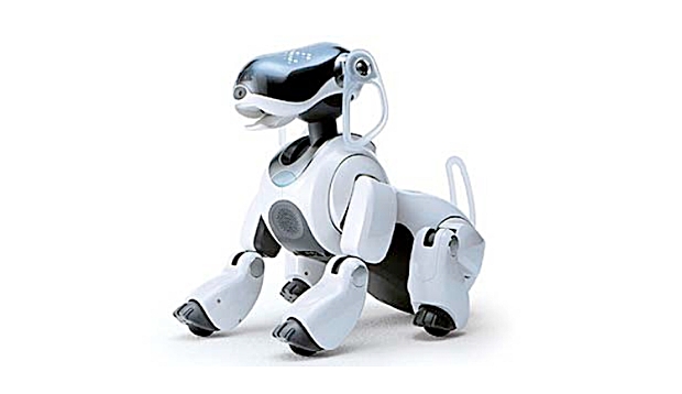cachorro-robot