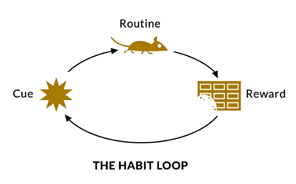 O hábito em loop