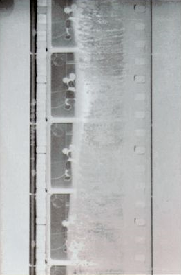 Pedaço do negativo de nitrato de Steamboat Willie (primeiro filme sonoro dos estúdios Disney) em estado de decomposição, descoberto em 1934.